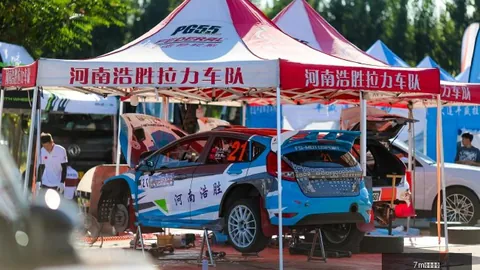 牛来动画电影票房飞跃千万，粗糙制作意外引爆观影狂潮